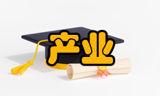 产业价值链整体性