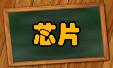 芯片实验室的特点