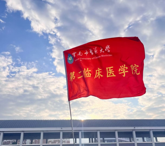 云南中医药大学第二临床医学院康复治疗学