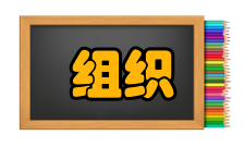 现代企业管理组织放大