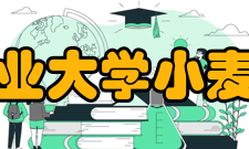 四川农业大学小麦研究所研究成果