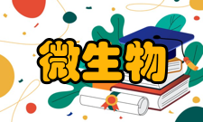 微生物工程发展简史