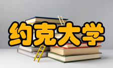 约克大学本科专业