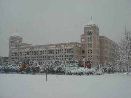 南京市莫愁中等专业学校专业设置