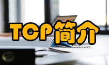 TCP简介