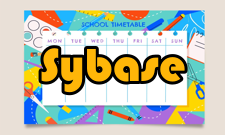 Sybase数据库数据特点