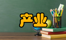 产业价值链差异性