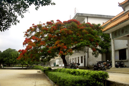 河口中学成绩荣誉河口中学已过不惑之年