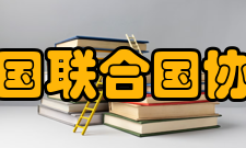 中国联合国协会主要工作