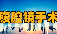 腹腔镜手术其它腹股沟疝修补术