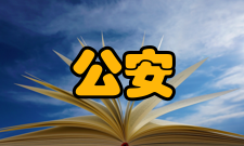 公安情报学安全管理第四