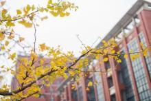 沙洲职业工学院师资力量