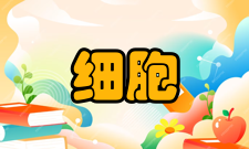 细胞破碎真菌