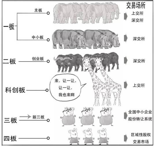 主板市场科创板