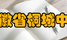 安徽省桐城中学学生成绩竞赛成绩据