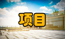 项目风险管理按风险的影响范围分：