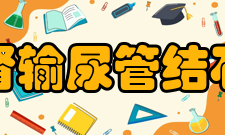 肾及输尿管结石检查方法