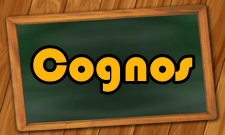 Cognos组件功能