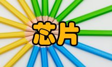 芯片实验室芯片实验室的要素按照目前的理解