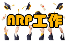 ARP工作媒介：报文