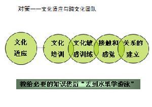 跨文化管理发展