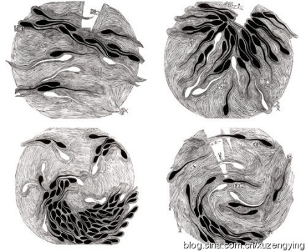 基因工程学科起源