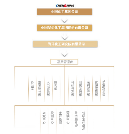 海洋化工研究院有限公司组织架构