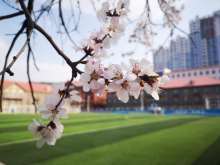 辽宁冶金职业技术学院学校荣誉