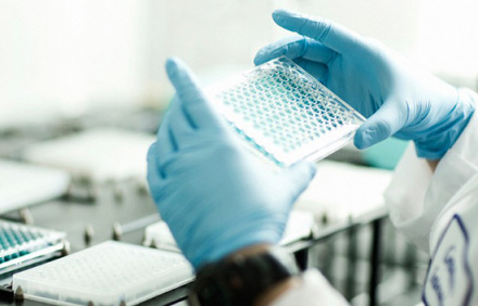 系统生物工程简介（systems biological en