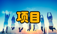 项目风险管理实施控制