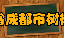 四川省成都市树德中学教师成绩