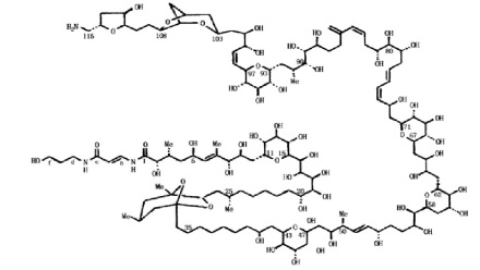 海洋生物毒素刺尾鱼毒素