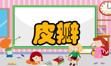 皮瓣移植洞穿性缺损如面颊部洞穿性缺损