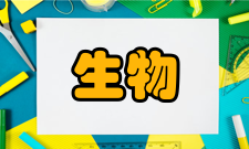 生物声学应用简介综述20世纪中期以来