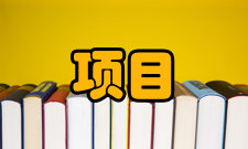 项目风险管理制定原则