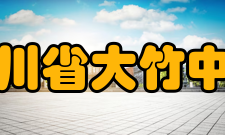 四川省大竹中学学生成绩素质成绩