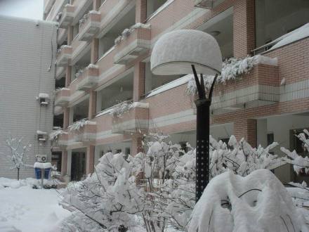 南京市莫愁中等专业学校学生管理