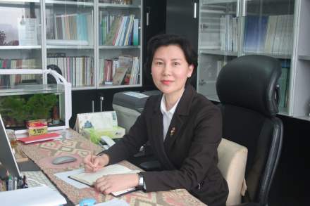 分子筛多孔材料的结构设计与定向合成