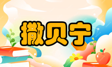 撒贝宁获奖记录