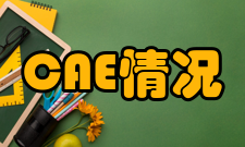 CAE应用情况