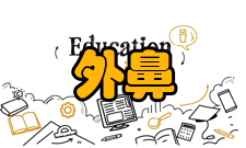 外鼻一、概述：由鼻骨和软骨作支架