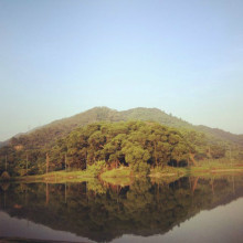 中山大学珠海校区院系设置