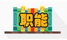 职能管理模式分析