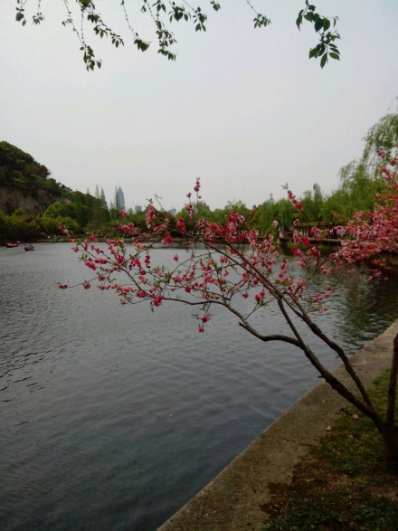 绍兴文理学院教学建设