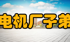 湘潭电机厂子弟中学学生成绩50多年来