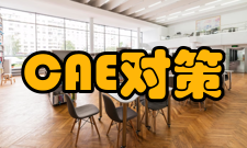 CAE展望及对策