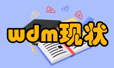 wdm现状