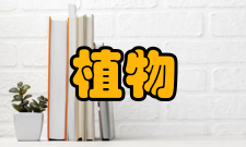 植物逆境生物学重点实验室学科建设目前