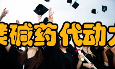 小檗碱药代动力学