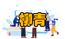 柳青文学奖第四届